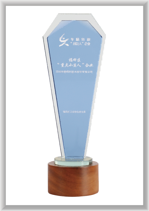 深圳福田区“沉点幼巨人”企业