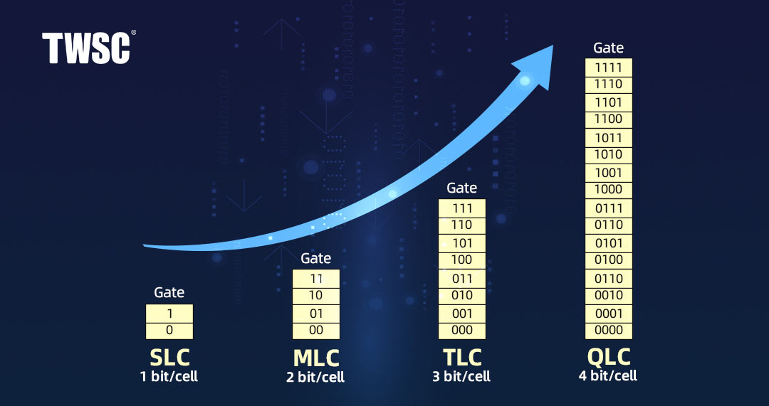 CQ9 | CQ9电子游戏 | CQ9 Gaming